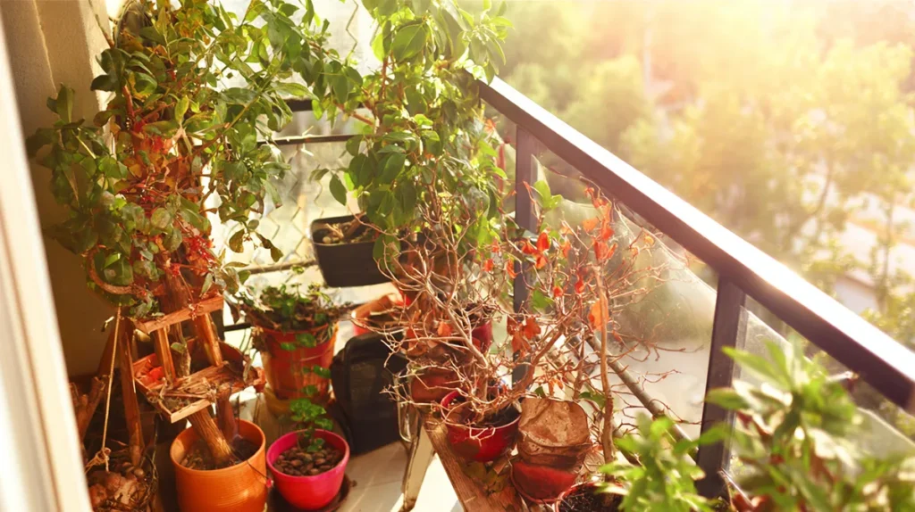 Erros comuns na decoração de varanda pequena com excesso de plantas